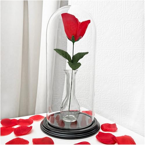 Plymor 5.5" x 13" Glass Display Dome Cloche (Black Wood Veneer Base) - color: Black Wood Veneer Base