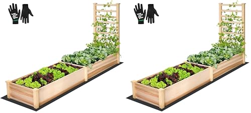 VIVOSUN Wooden Raised Garden Bed, 48 x 24 x 30 Inches, Outdoor Wood Planter Box with Gloves and a Liner, with Trellis for Vine Climbing for Garden, Patio, Balcony, Backyard and Outdoors (Pack of 2) - size: 48 x 24 x 30 In(With Trellis Pack of 2)