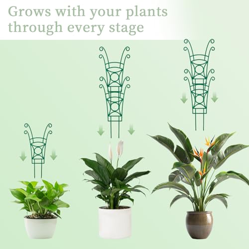 4 Pack Stackable Plant Trellis for Climbing Plants, Indoor/Outdoor Garden Trellis, Plant Support for Vine Ivy Hoya & Houseplants Flower - size: 4 Pack