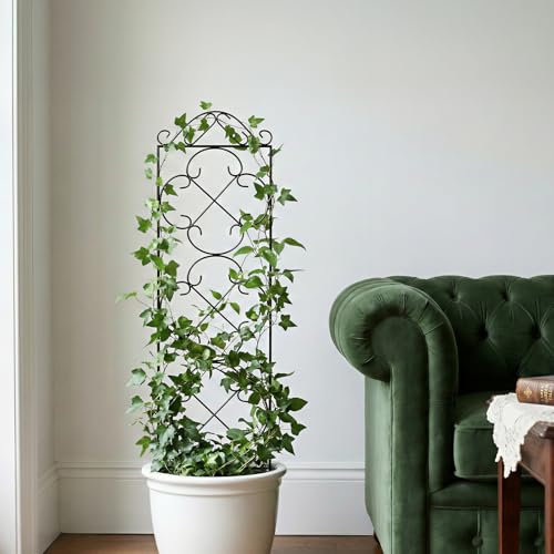 Thealyn 4 Pack 48" x 12.5" Metal Trellis for Potted Plants and Planters - size: 48 inch