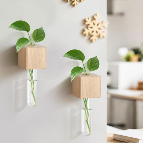 Magnetic Test Tube Flower Vases for Refrigerator, Set of 2 - color: 2 Pcs Wood