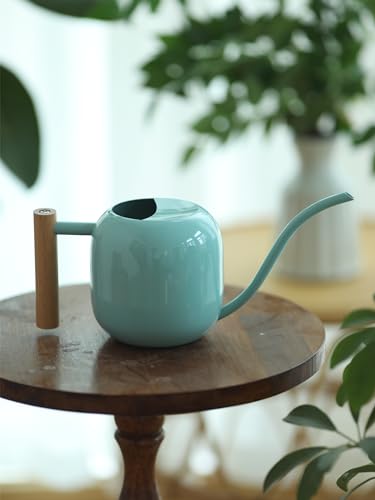 Green Moon 1.2L/41oz Metal Metal Watering Can with Long Spout, Mint Green - color: Mint Green