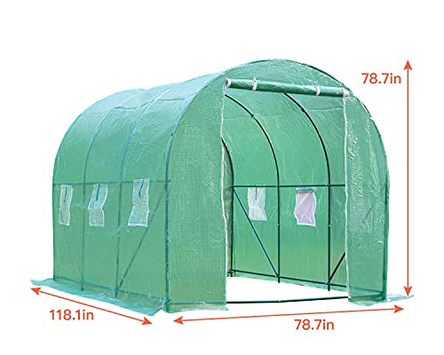 Greenhouse for Outdoors Greenhouse Walk-in Green House L10'xW7'xH7' Plastic Mini Greenhouse Kit Indoor Portable Greenhouse Plant Shelves Tomato Herb Canopy for Patio