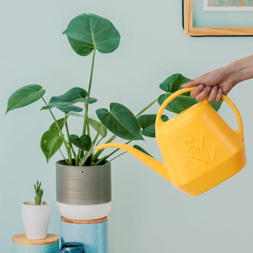 Watering Can - with Long Spout - 1 Gallon - Yellow - color: Yellow