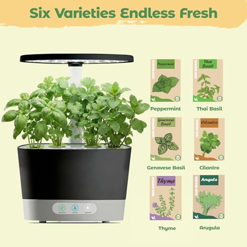 Herb Seed Pod Kit for AeroGarden, idoo, Ahopegarden, MUFGA Hydroponics Garden with Genovese Basil, Thai Basil, Thyme, Cilantro, Peppermint, and Arugula - Compatible with All Hydroponics (8-Pod) - color: Herbs