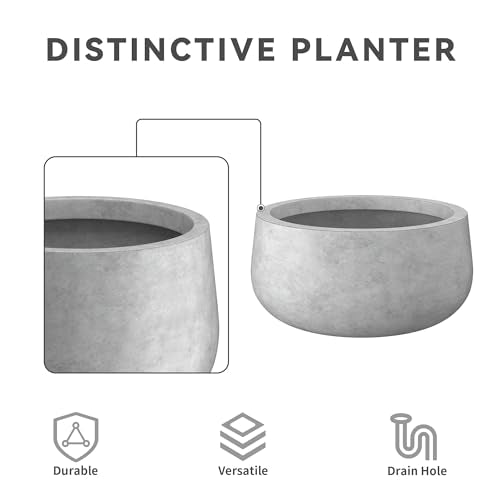 Kante Accent Round Bowl Pale Gray Concrete Planter 16" Dia, Outdoor - color: Natural Concrete, size: 15.7"w