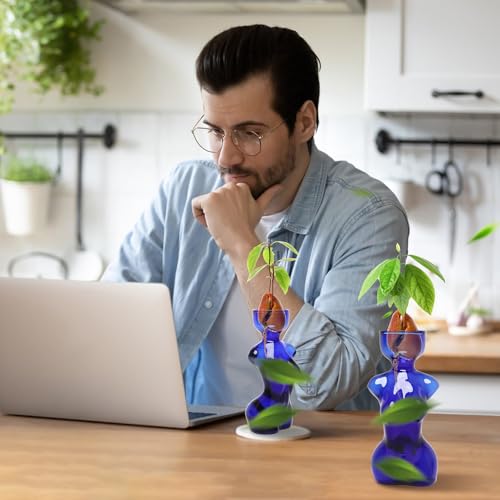 Plant Propagation Jars Unique Body Avocado Vase - color: Blue