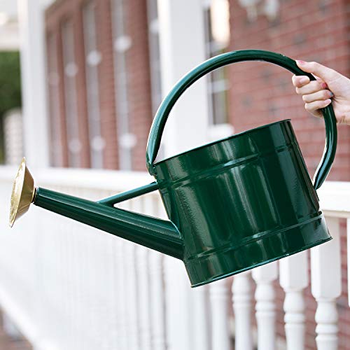 1.3 Gallon Jade Green Metal Watering Can, Removable Spout - color: Green, size: 1.3 Gallon
