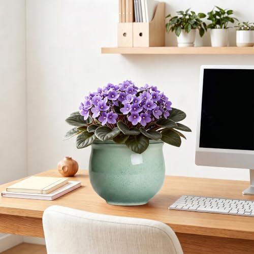 Ceramic Self Watering Planter, 8 Inch African Violet Pots, Green - color: Green, size: 8 Inch