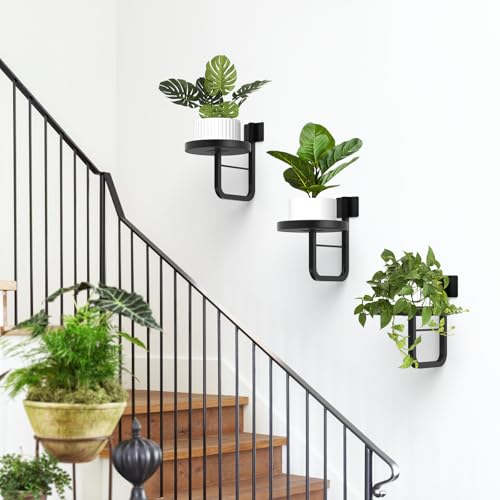 3 Pack Wall Plant Holder for Hanging Planters Indoor Outdoor Black - color: Black-3Pcs20cm