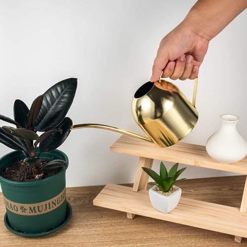 IMEEA 30oz Indoor Plant Watering Can Stainless Steel Long Spout, Gold - color: 30oz (1l) - Gold