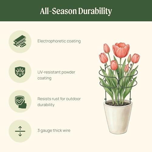 6 Pack Curved Plant Support Stakes, Dual Half Round Metal Garden Plant Stake, Peony Cages and Supports, 10"(W) x 20" (H) Flower Support Ring for Peonies, Hydrangea - size: Medium