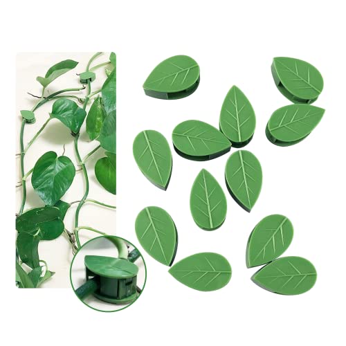 Plant Climbing Wall Fixture Clips 40 Pcs, Garden Vegetable Plant Support Binding Clip Invisible Wall Vines, Self-Adhesive Clips Plant Vine Traction for Indoor Outdoor Decoration