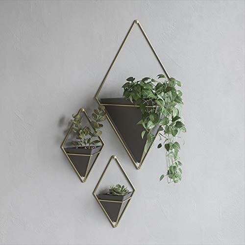 Umbra Trigg Wall Display, Large Geometric Planter Vessel, Black/Brass - color: Black/Brass, size: Large
