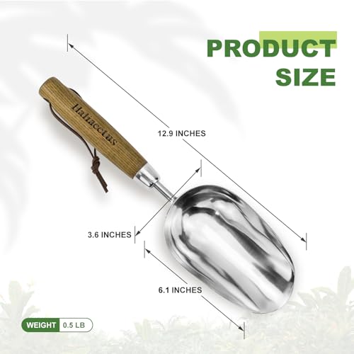 Haliaeetus Potting Soil Scoop, Bend Proof Stainless Steel Gardening Scoop