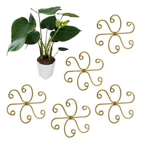 5PCS Plant Stem Support Rings for Monstera & Indoor Plants, 4.1 x 3.9 in Metal Plant Stem Holder