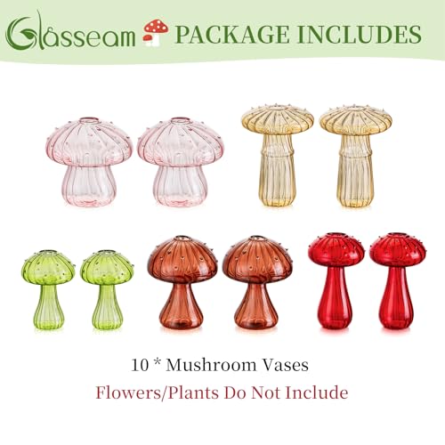 Glasseam Mushroom Plant Propagation Station: 10 Pcs Glass Mini Terrarium - color: Colorful, size: 10