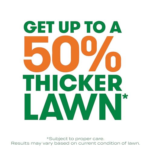 Scotts Turf Builder Thick'R Lawn Bermudagrass - Covers 1,200 sq. ft., Combination Seed, Fertilizer and Soil Improver, Fill and Repair Gaps in Thin Lawns and Enhance Root Development, 12 lb. - size: 12 lb.