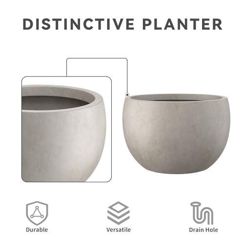 Kante Small Round Bowl Weathered Concrete Planter 11.8" Dia, Outdoor - color: Weathered Concrete, size: 11.8" d