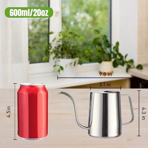 Doseno Indoor Watering Can, Long Spout Watering Can, Stainless Steel, 20 oz - size: 600ml/20oz-Stainless Steel