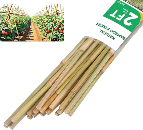 Natural Bamboo Plant Stake(3FT 50Pcs) Sturdy Bamboo Poles, Durable Plant Bamboo Stake, Garden Climbing Plant Bracket. - size: 3ft-50pcs