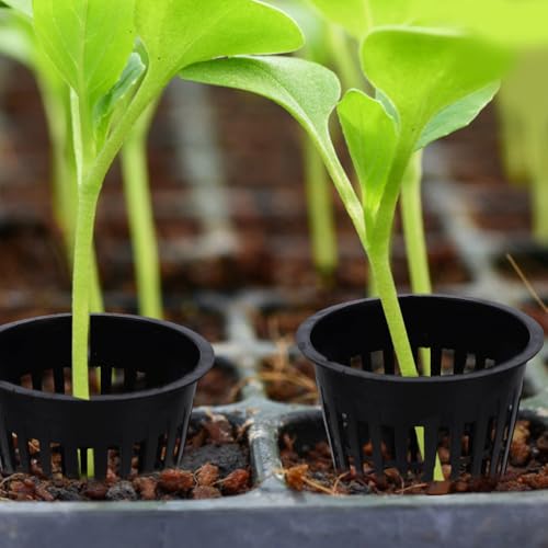 Toddmomy Hydroponic Grow Baskets 5-Pack 2.16X1.96X1.18 in Slotted Mesh Net Cups for Root Aeration Seed Starting Vegetables Orchids Aquaponics Plant Starter Containers