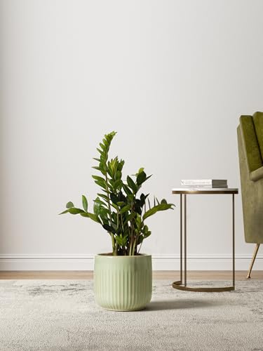 LE TAUCI Ceramic Pots for Plants, 8.3/7/6 Inch Indoor Planters with Drainage Holes & Mesh, Modern Glossy Glaze Cylinder Fluted Plant Pot for Snake Plant, Set of 3, Sage Green - color: Sage Green