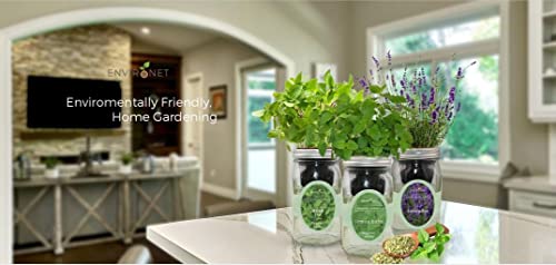 Hydroponic Herb Growing Kit Set, Self-Watering Mason Jar Herb Garden Starter Kit Indoor, Windowsill Herbs Garden, Grow Your Own Herbs from Organic Seeds (Basil, Dill, Chives) - color: Basil, Dill & Chives