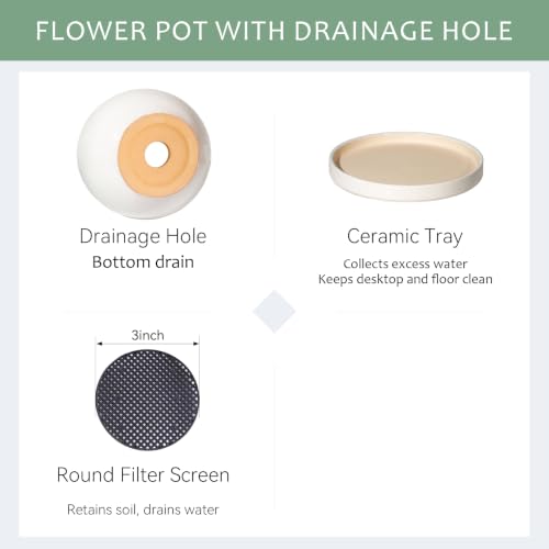 10.3 Inch Ceramic Glaze Plant Pot with Saucer, Flower Pots with Drainage Hole Mesh Net(Hemp-Gray Dot) - color: Hemp Gray Dot