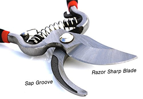 GARDEN GURU Classic Bypass Pruning Shears Clippers – Heavy Duty Forged Steel Garden Pruners – Safety Lock – Non Slip Comfort Grips – Cuts up to 1” Diameter – Professional Bypass Pruners for Gardening - size: 1 Pack, style: Bypass Pruner (Black)