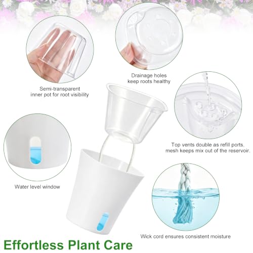 3 Inch Self Watering Pots for Indoor Plants, 10 Pack Clear Nursery Pots with Drainage & Water Level Indicator, Plant Pots for African Violet, Flowers, Herbs - size: 3 Inch