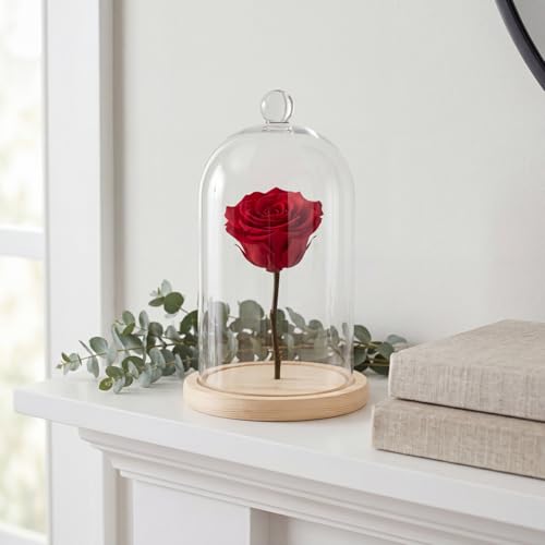 Lyellfe 2 Pack Cloche Glass Dome with Rustic Wooden Base