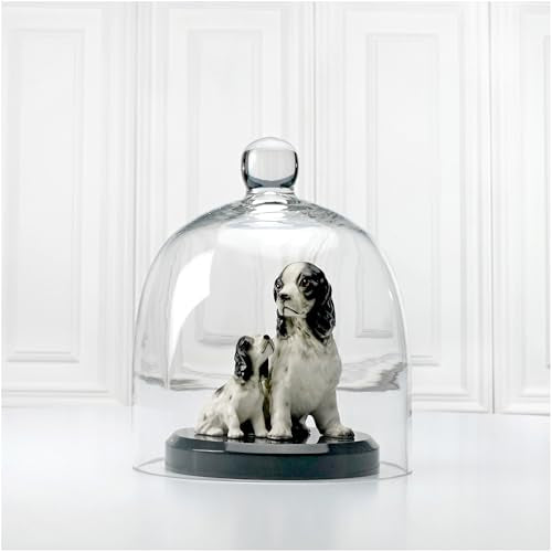 Plymor 7.875 inch x 9.5 inch Bell Jar Glass Display Dome Cloche (Interior Size 7.5" x 7.5") - size: 7.875" x 9.5"