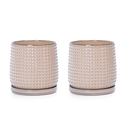 D'vine Dev 2-Pack Beaded Ceramic Pots, 6 in, Light Brown, 27-E-X-4 - color: Light Brown
