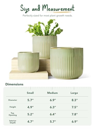 LE TAUCI Ceramic Pots for Plants, 8.3/7/6 Inch Indoor Planters with Drainage Holes & Mesh, Modern Glossy Glaze Cylinder Fluted Plant Pot for Snake Plant, Set of 3, Sage Green - color: Sage Green