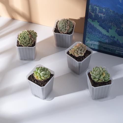 30Pcs 3 Inch Clear Nursery Pots with Saucers, Square Plastic Plant Pot - color: Transparent 02