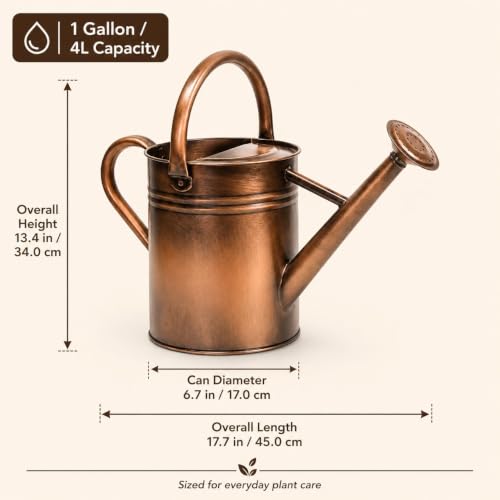 1 Gallon Metal Watering Can for Indoor Outdoor Plants, Retro Coppery - color: Retro Coppery