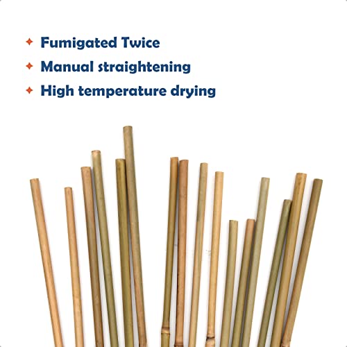 COLOtime Bamboo Stakes 4FT Garden Stakes Plant Stakes for Indoor and Outdoor Climbing Plants Poles Sticks Support Tomatoes Eggplants Beans 25 Pack - size: 4ft, 25 Pack
