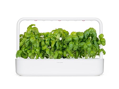 Click and Grow Smart Garden Basil Plant Pods, 3-Pack