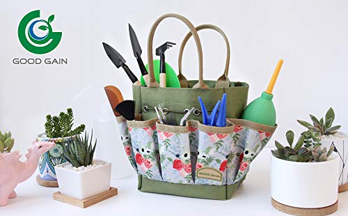 G GOOD GAIN Garden Succulent Kit with Organizer Bag,15 Pieces,Rose - style: Rose