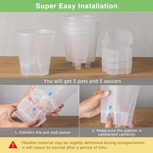 GREENPARA 5 Inch Clear Self Watering Planter, Plant Pot with Reservoir