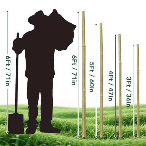 65 Pcs Bamboo Plant Stakes 4 Feet, Oltara Natural Bamboo Sticks Garden Stakes for Climbing Plants Support, Bamboo Poles,Potted Plants, Tomatoes, Beans, Flowers, Trees - size: 4 Feet-65 Pack