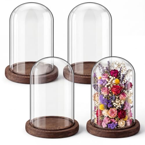 Suclain 4Pc Glass Dome Cloche with Wood Base, Brown, 5.9" X 3.8" - color: Brown, size: 5.9" X 3.8"