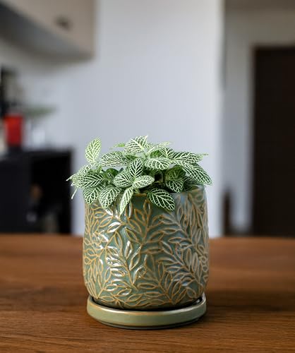 D'vine Dev Embossed Leaves Ceramic Planter, 4 in, Olive, 27-A-Z-0 - color: Olive, size: 4 Inch