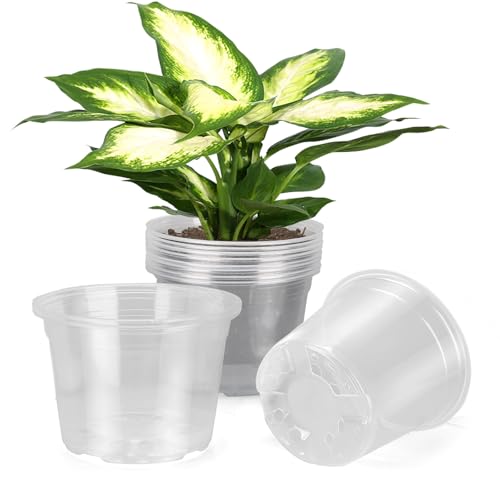 8 Inch Large Clear Nursery Pots with Drainage, 10 Pack Plastic Pots for Plants, Ideal Seedling Pots and Plant Pots for Vegetables, Orchids, Aloe, Indoor Outdoor Use (8 inch-10 Pack) - size: 8 inch