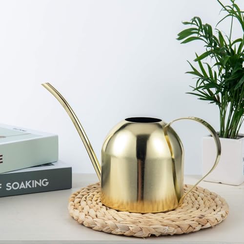 IMEEA 30oz Indoor Plant Watering Can Stainless Steel Long Spout, Gold - color: 30oz (1l) - Gold