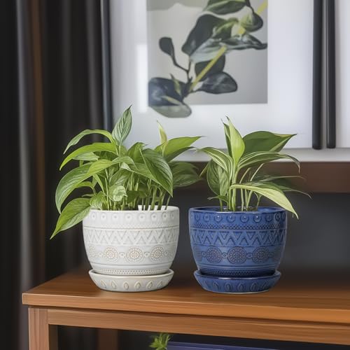 G EPGardening Pot for Plants, 5 Inch Ceramic Planter, Blue - color: Triangle Blue