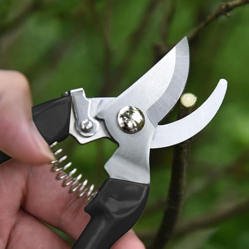 Garden Scissors for Plant, Tip Pruning Shears for Cutting Flowers, Trimming Plants, Bonsai and Fruits Picking (Black Bypass Blade Pruner) - style: 1 Pc-Black