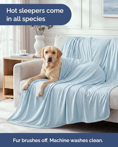 Cooling Blanket for Hot Sleepers - Cold Blanket Queen - Light Blue, 90 x 90 - color: 06 - Baby Blue, size: Full / Queen (90" x 90")
