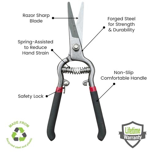 Garden Guru Classic Bypass Pruning Shears Clippers – Heavy Duty Forged Steel Garden Pruners – Safety Lock – Non Slip Comfort Grips – Cuts up to 1” Diameter – Professional Bypass Pruners (4 Pack) - size: 4 Pack, style: Precision Blade
